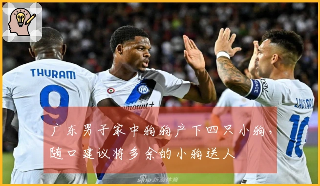 广东男子家中狗狗产下四只小狗，随口建议将多余的小狗送人