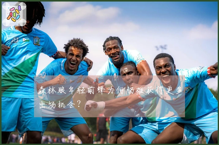 森林狼年轻前锋为何仍难获得更多出场机会？