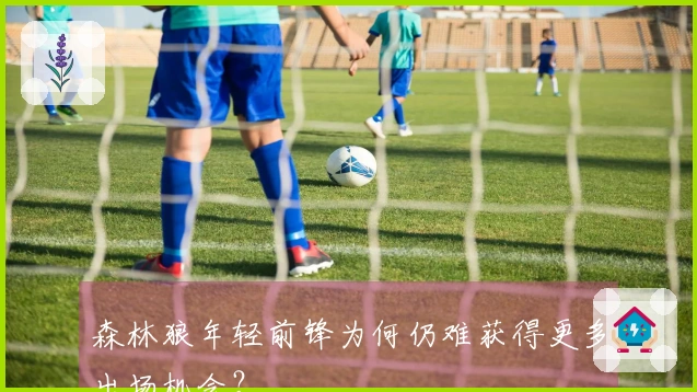 森林狼年轻前锋为何仍难获得更多出场机会？