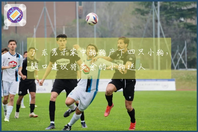 广东男子家中狗狗产下四只小狗，随口建议将多余的小狗送人